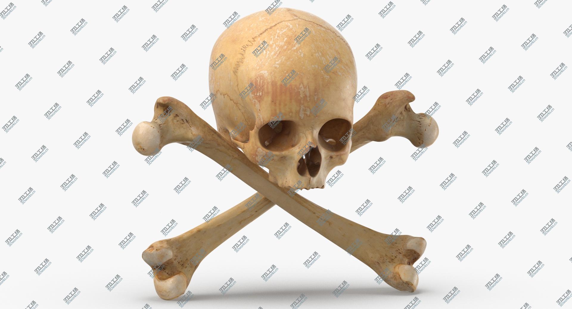images/goods_img/202104091/3D model Pirate Skull and Bones Composition 02/3.jpg